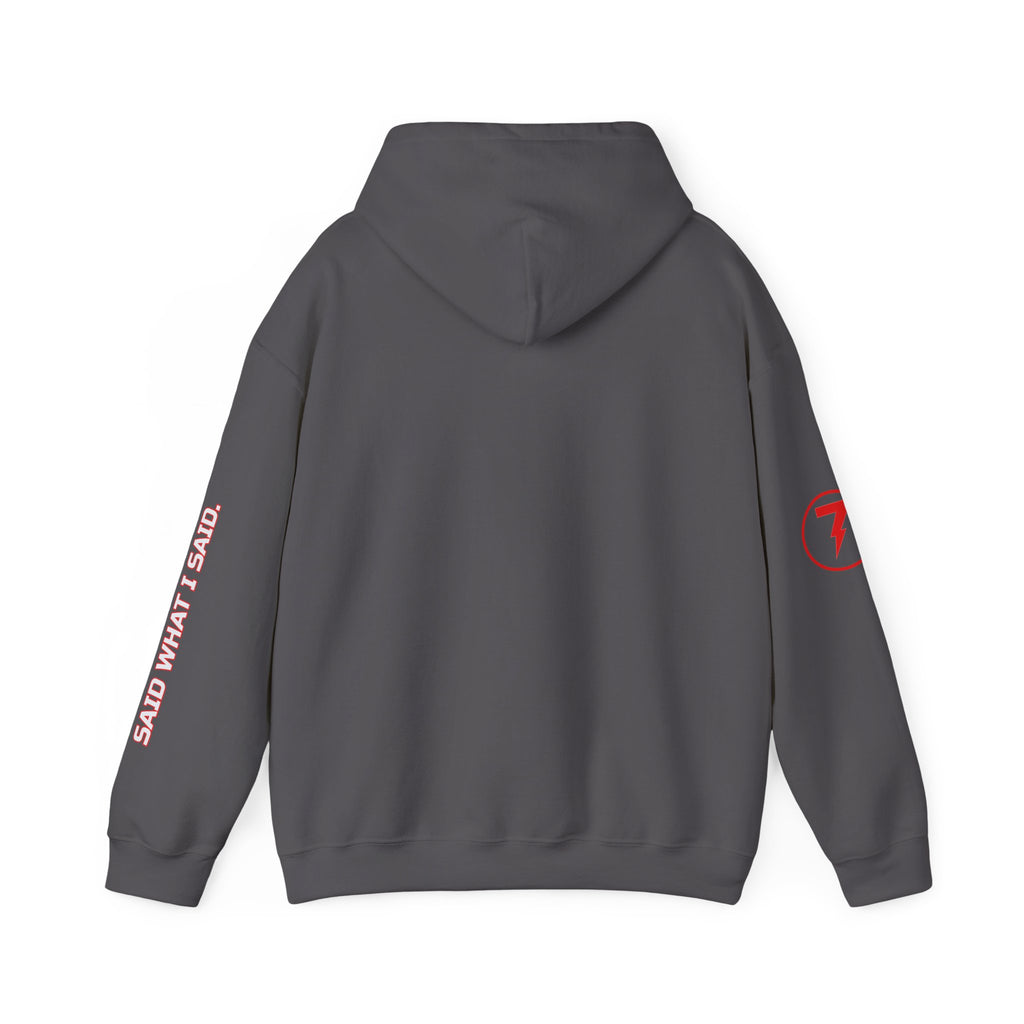 SEV7NTH WIRE SAID WHAT I SAID. Hoodie