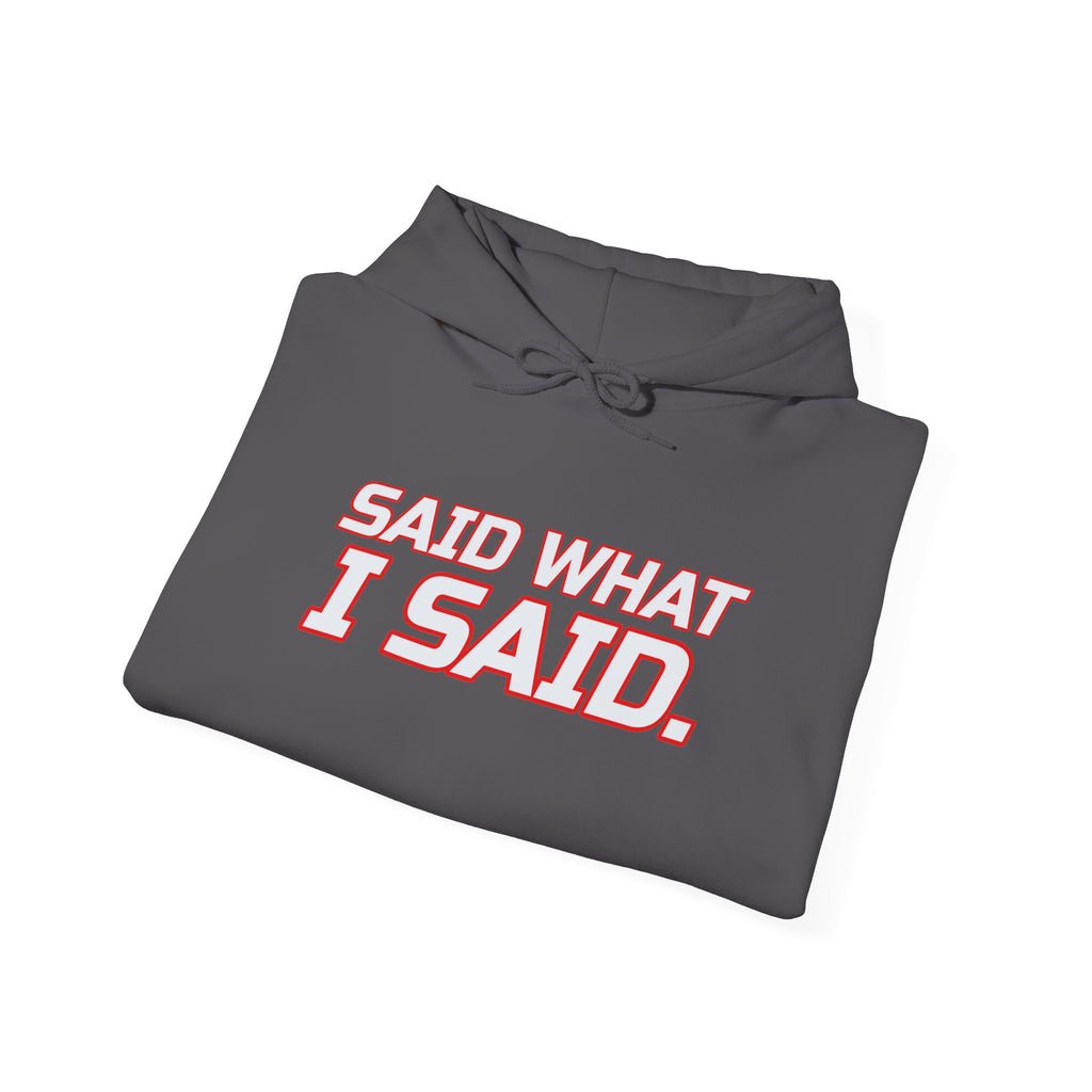 SEV7NTH WIRE SAID WHAT I SAID. Hoodie