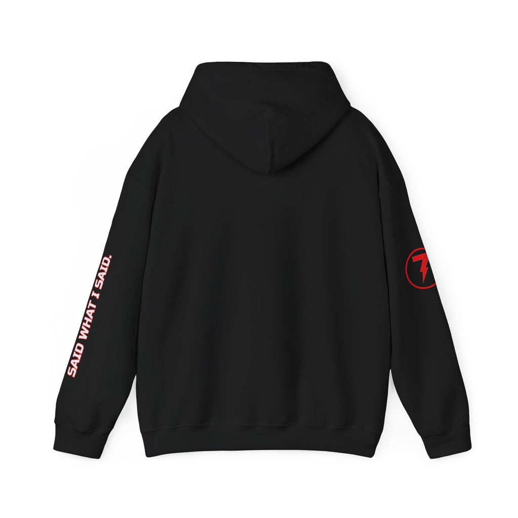 SEV7NTH WIRE SAID WHAT I SAID. Hoodie