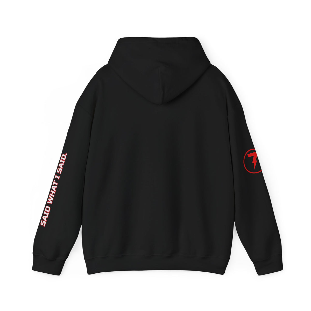 SEV7NTH WIRE SAID WHAT I SAID. Hoodie